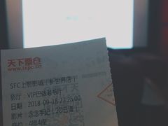 -SFC上影影城(新世界店)