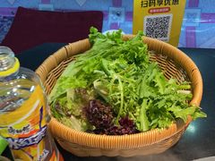 -高家小院铁锅炖大鹅(哈西高铁站店)