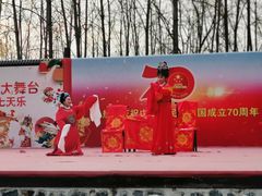 -合肥滨湖国家森林公园