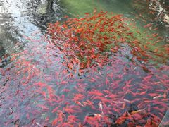 -品湘宴·湖南宁乡菜