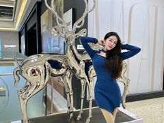 -红星美凯龙北京至尊MALL(东四环中路店)