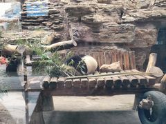 -石家庄市动物园