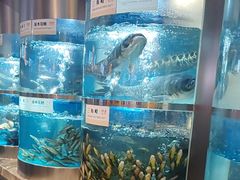 -老船舫·现做活鲜鱼馆(东郊记忆店)