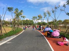 -上海长兴岛郊野公园