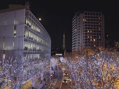 -六本木新城展望台(东京城市景观)
