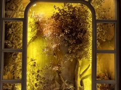 -金贵源食神(楚河汉街店)