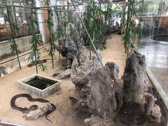 -荔城生鲜盛宴(番禺旗舰店)