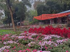 -宝晶宫旅游景区