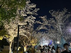 -杭州城北体育公园