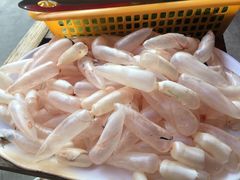 鲮鱼泡-章记正宗南岗鱼蛋火锅