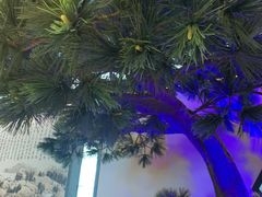 -绿茶餐厅(成都大悦城店)