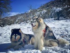 -太子岭滑雪场