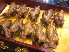 -东口码头·烧鸽子·鱼头泡饼·地方菜(金鹰悦城店)