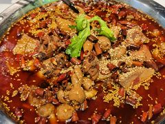 -晓彭肥肠鸡(茂业天地店)