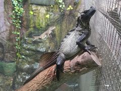 -上海大自然野生昆虫馆(东方明珠·爬宠昆虫探索中心)