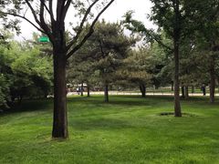 -北京植物园-展览温室