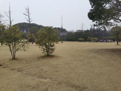 -长广溪湿地公园