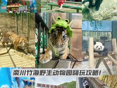 -栾川竹海野生动物园