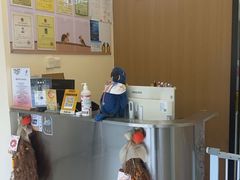 -立德异宠动物医院.兔鸟爬.内窥镜(天河店)
