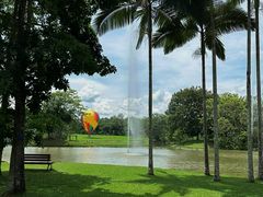 -中国科学院西双版纳热带植物园