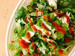 -油梨树 AVOCADO TREE(亮马桥店)
