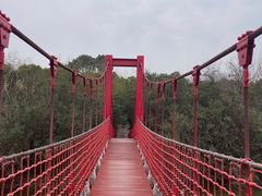 -上海吴淞炮台湾国家湿地公园