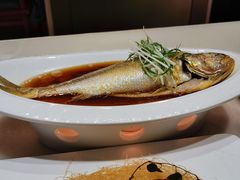 酒蒸葱香鲜黄花鱼-京华烟云·北京烤鸭(领展购物广场·中关村店)