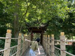 -凤栖山