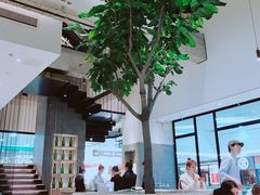 -大树餐厅(红旗街万达店)