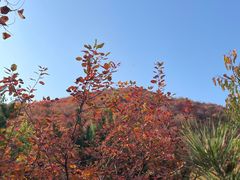 -周口店坡峰岭风景区