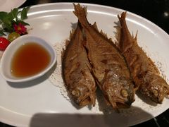 -蝶园·装修中(BFC外滩金融中心店)