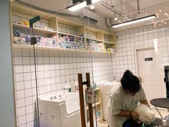 -老吴的猫·猫舍(新区店)
