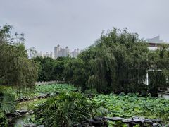 -岭南美术馆
