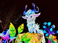 -武汉园博园(武汉自然博物馆)