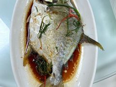 -日日香卤鹅饭店·澄海狮头鹅(澄海店)