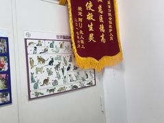 -宠福鑫动物医院(望京分院)