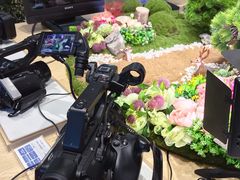 -Sony Store 索尼(来福士店)