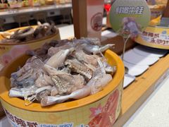 -龍歌自助小火锅(崂山丽达店)