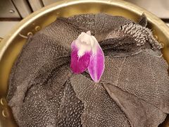 -屋头串串(临江路店)