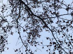 -王记西鎮电烤肉(汶上路店)