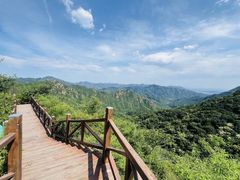 -大岭沟猕猴桃谷风景区