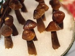 -喜聚薈·花膠雞海鮮火鍋(越秀店)