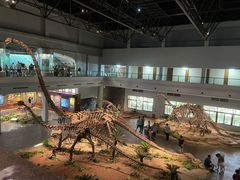 -自贡恐龙博物馆