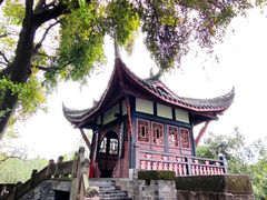 -桂湖森林公园