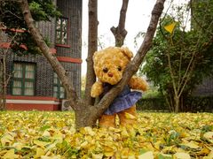 -四川大学(华西校区)