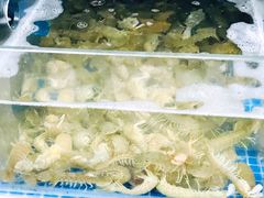 -宾朋海鲜美食特色餐厅·纯手工鲅鱼水饺(兴海路店)