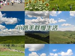 -草原天路(张北县)