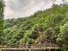 -桂林古东瀑布景区