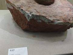 -衢州市博物馆