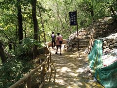 -北京上方山国家森林公园